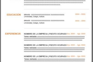 Formato De Currículum Vitae Para Práctica