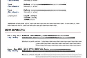 Formato de Curriculum Vitae en Inglés Gratuito