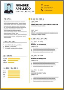 formato curriculum vitae español