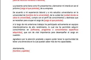 Carta de Presentación Profesional